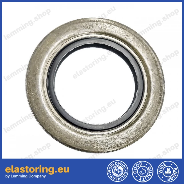 Oil seal 28x47x4,2/5,5 B1SF NBR [34004806]